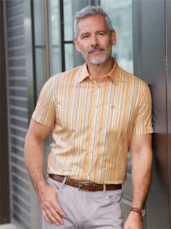 Kurzarm-Hemd - Beige-gestreift