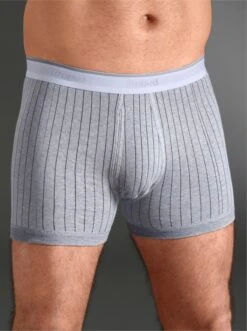 Bugatti Hose Kurz - Grau-gestreift